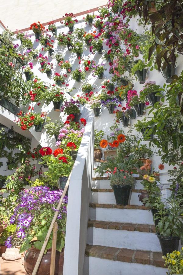 קורדובה La Casa De Rafalita מראה חיצוני תמונה